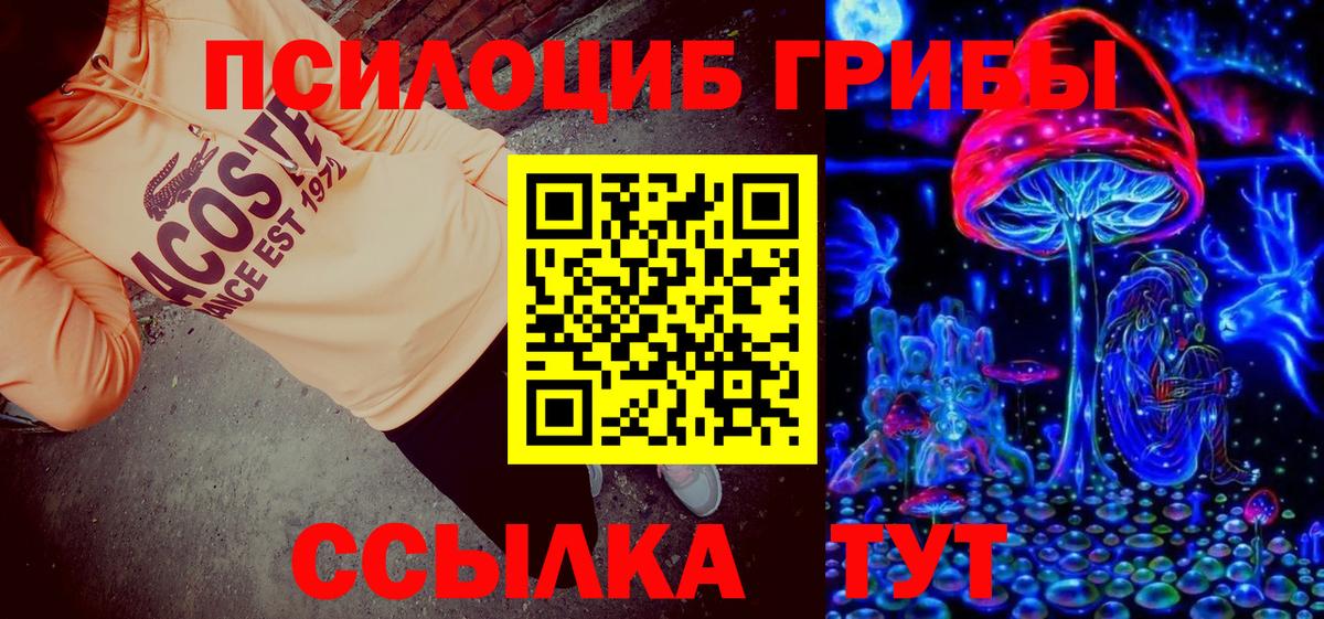 Псилоцибиновые грибы прущие грибы Строитель